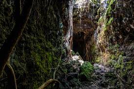 Rangitoto Lava Caves