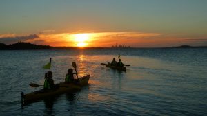 Sea kayak into the sunset auckland new zealand