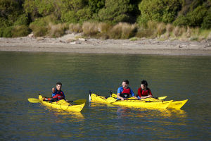 Browns island Motukorea kayak tour