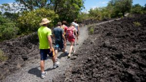 Guided hike on Rangitoto island Auckland with Auckland Sea Kayaks