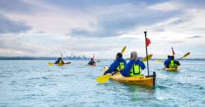 Team Building with Auckland Sea Kayaks