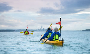 Sea Kayak Auckland