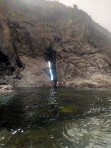 Auckland Sea Kayaks Sea cave northland New Zealand