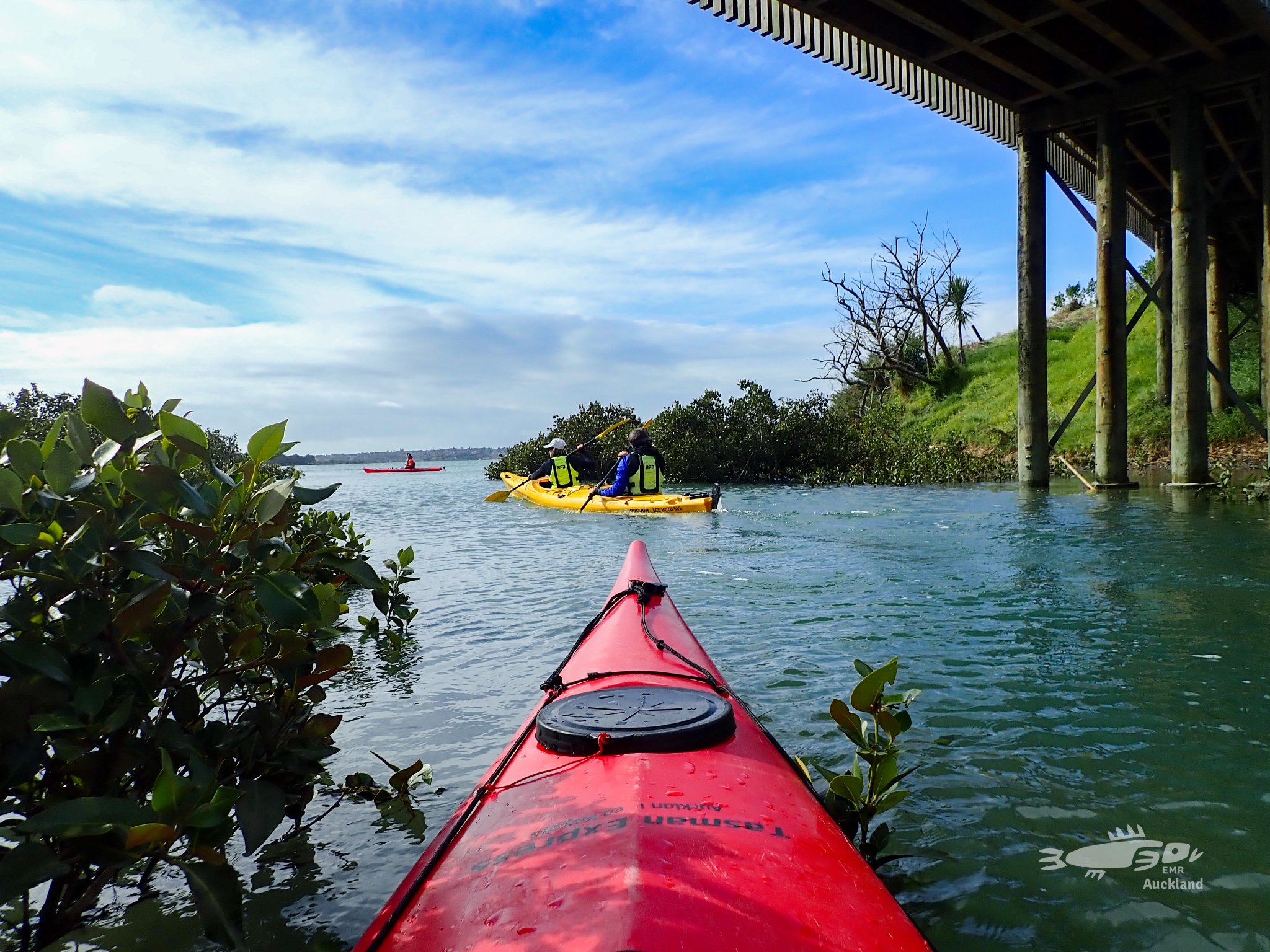Kayaking Tamaki River Auckland from Tahuna Torea